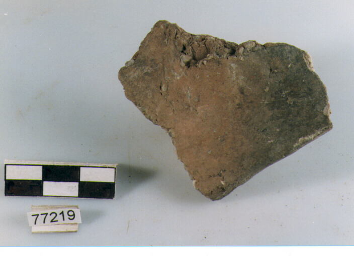 orlo, tipo E12 Ripoli - neolitico finale- Ripoli I (IV MILLENNIO a.C)