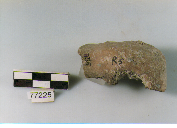 ansa ad anello, tipo A1 Ripoli - neolitico finale- Ripoli I (IV MILLENNIO a.C)