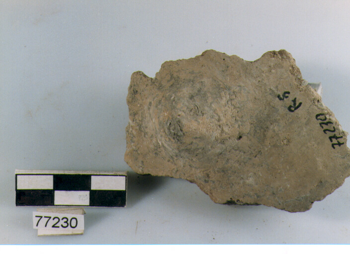 parete, tipo E16 Ripoli - neolitico finale- Ripoli I (IV MILLENNIO a.C)