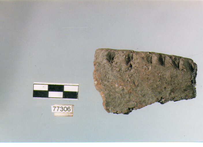 orlo, tipo E12a1 Ripoli - neolitico finale-Ripoli III (IV MILLENNIO a.C)