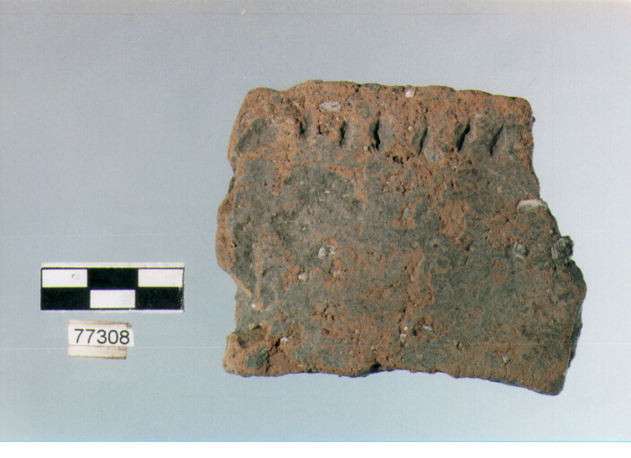 scodella troncoconica, tipo F 14, Ripoli - neolitico finale-Ripoli III (IV MILLENNIO a.C)