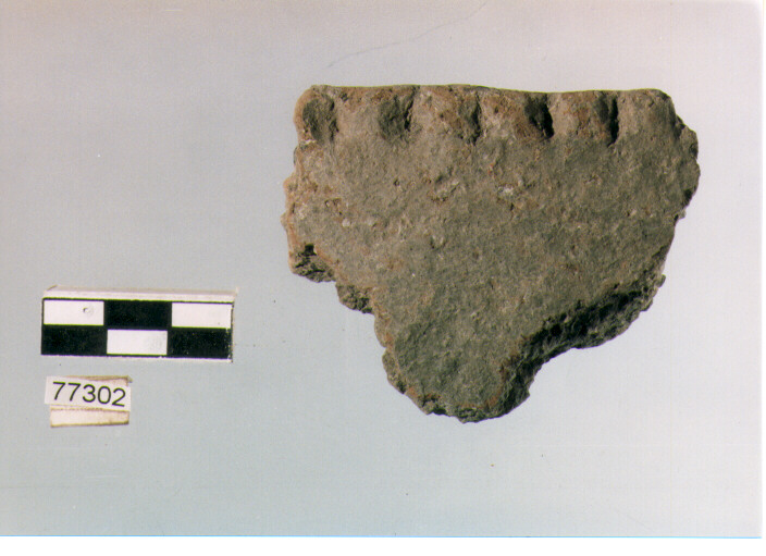 scodella, tipo F20 Ripoli - neolitico finale-Ripoli III (IV MILLENNIO a.C)