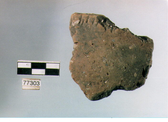 scodella, tipo F20 Ripoli - neolitico finale-Ripoli III (IV MILLENNIO a.C)