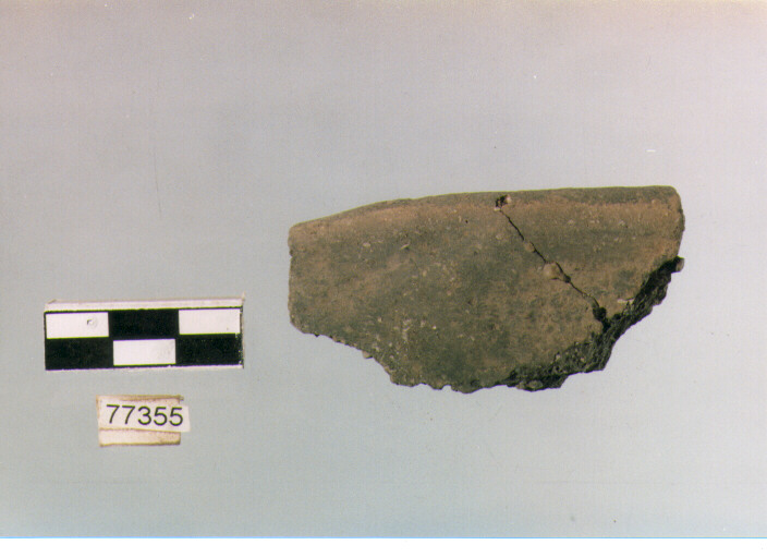 orlo, tipo E 12, Ripoli - neolitico finale-Ripoli III (IV MILLENNIO a.C)