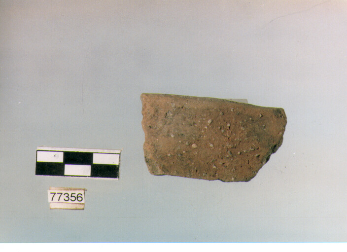 orlo, tipo E 12, Ripoli - neolitico finale-Ripoli III (IV MILLENNIO a.C)