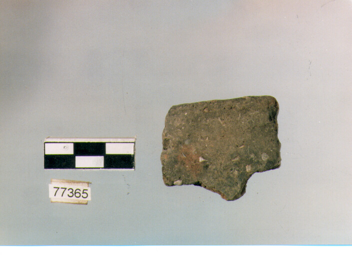 orlo, tipo E 12, Ripoli - neolitico finale-Ripoli III (IV MILLENNIO a.C)