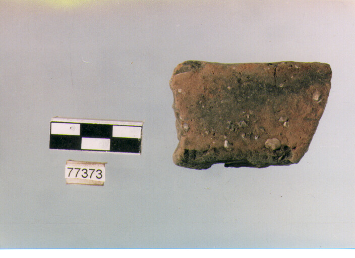 orlo, tipo E 12, Ripoli - neolitico finale-Ripoli III (IV MILLENNIO a.C)