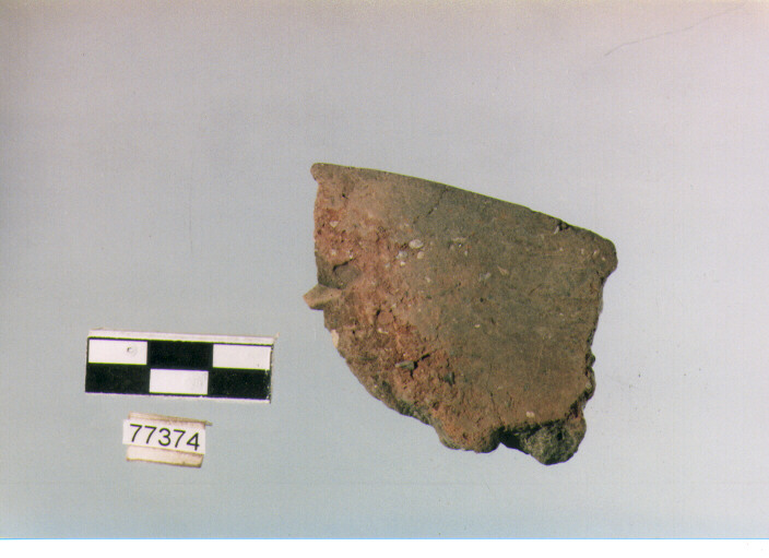 orlo, tipo E 12, Ripoli - neolitico finale-Ripoli III (IV MILLENNIO a.C)