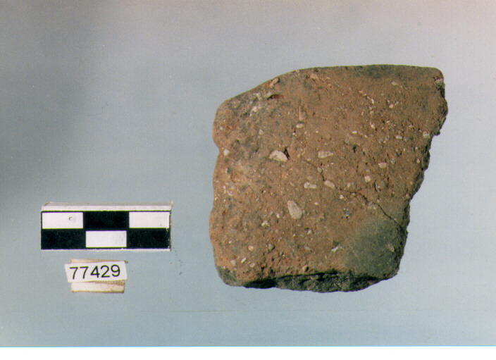 orlo, tipo E 12, Ripoli - neolitico finale-Ripoli III (IV MILLENNIO a.C)