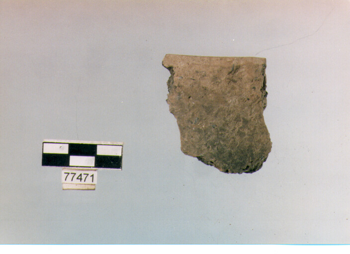 orlo, tipo F12 Ripoli - neolitico finale-Ripoli (IV MILLENNIO a.C)