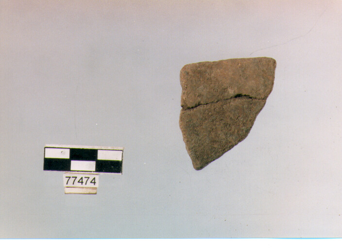 orlo, tipo F12 Ripoli - neolitico finale-Ripoli (IV MILLENNIO a.C)