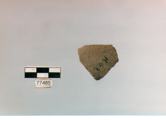 orlo, tipo E12 Ripoli - neolitico finale-Ripoli (IV MILLENNIO a.C)