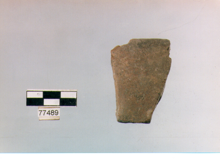 orlo, tipo F12 Ripoli - neolitico finale-Ripoli (IV MILLENNIO a.C)