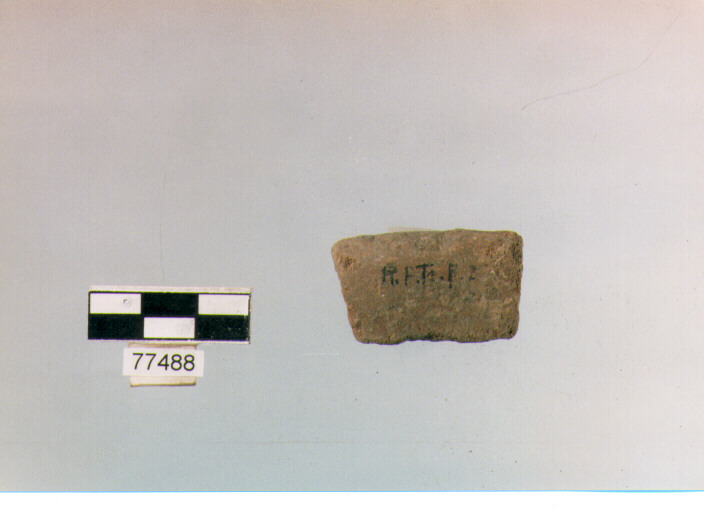 orlo, tipo F12 Ripoli - neolitico finale-Ripoli (IV MILLENNIO a.C)