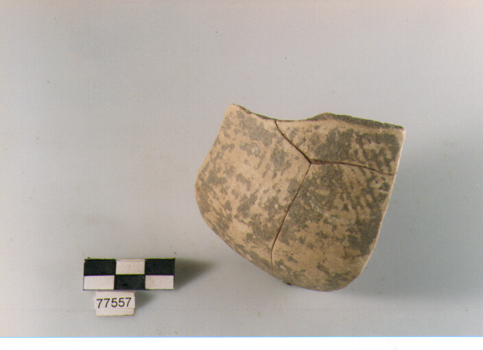 boccale, tipo F 1a, Ripoli - neolitico finale-Ripoli II (IV MILLENNIO a.C)