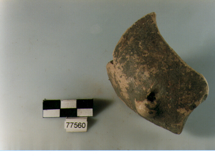 parete, tipo E 15, Ripoli - neolitico finale-Ripoli II (IV MILLENNIO a.C)