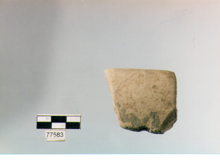 orlo, tipo E 12, Ripoli - neolitico finale-Ripoli III (IV MILLENNIO a.C)