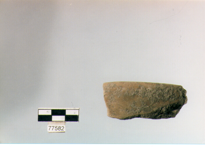 orlo, tipo E 12, Ripoli - neolitico finale-Ripoli III (IV MILLENNIO a.C)