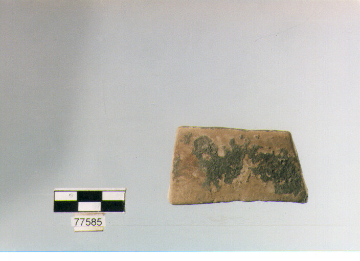 orlo, tipo E 12 a2, Ripoli - neolitico finale-Ripoli III (IV MILLENNIO a.C)