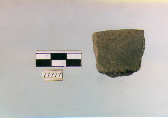 orlo, tipo E12, Ripoli - neolitico finale-Ripoli (IV MILLENNIO a.C)