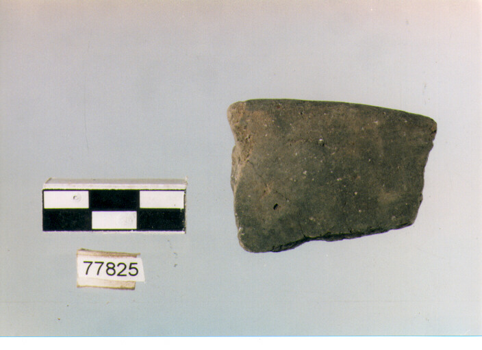 orlo, tipo E 12, Ripoli - neolitico finale-Ripoli III (IV MILLENNIO a.C)