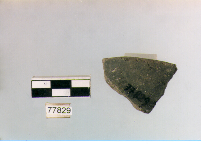 orlo, tipo E 12, Ripoli - neolitico finale-Ripoli III (IV MILLENNIO a.C)