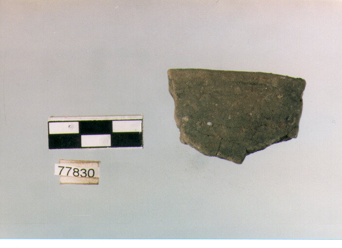 orlo, tipo E 12, Ripoli - neolitico finale-Ripoli III (IV MILLENNIO a.C)