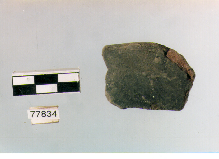 orlo, tipo E 12, Ripoli - neolitico finale-Ripoli III (IV MILLENNIO a.C)