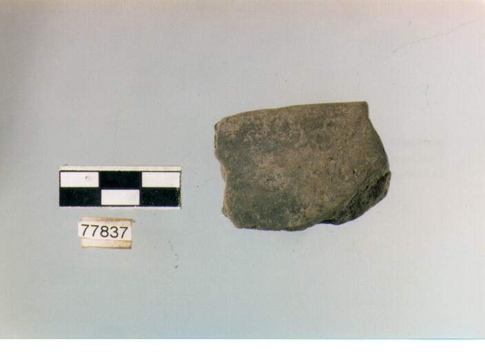 orlo, tipo E 12, Ripoli - neolitico finale-Ripoli III (IV MILLENNIO a.C)