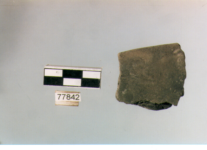 orlo, tipo E 12, Ripoli - neolitico finale-Ripoli III (IV MILLENNIO a.C)