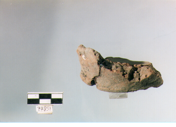 frammento, tipo E 5, Ripoli - neolitico finale-Ripoli III (IV MILLENNIO a.C)