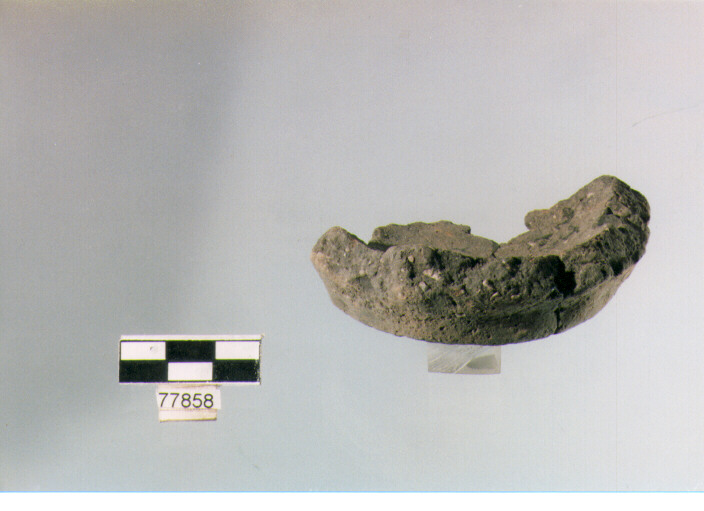 frammento, tipo E 5, Ripoli - neolitico finale-Ripoli III (IV MILLENNIO a.C)