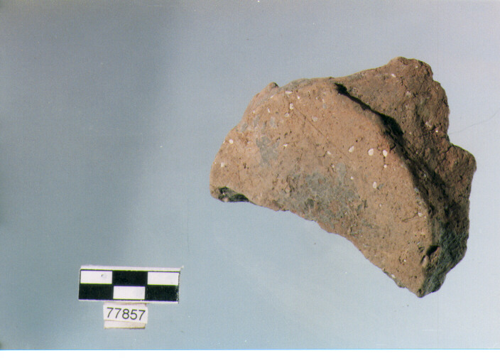 frammento, tipo E 5, Ripoli - neolitico finale-Ripoli III (IV MILLENNIO a.C)