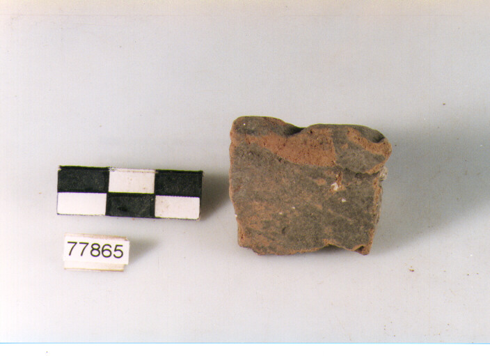 orlo, tipo E12 a1 Ripoli - neolitico finale-Ripoli III (IV MILLENNIO a.C)