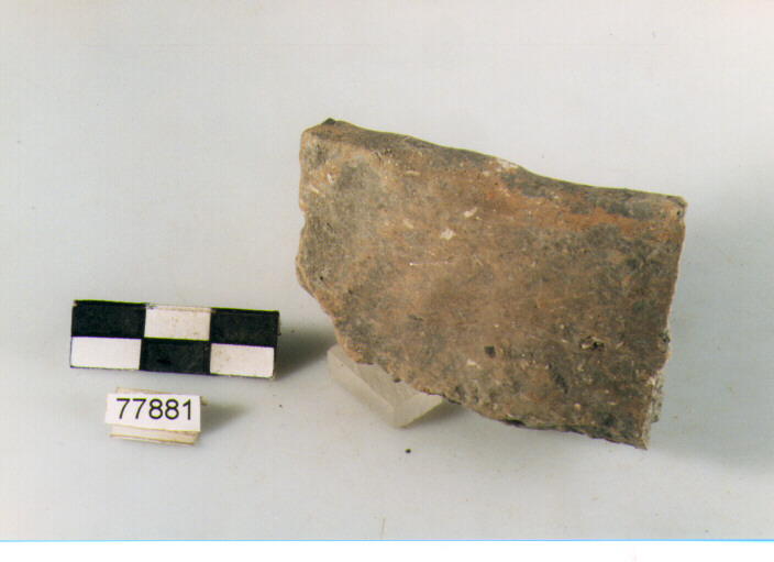 orlo, tipo E12 Ripoli - neolitico finale-Ripoli III (IV MILLENNIO a.C)