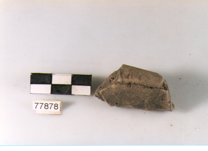 orlo, tipo E12 a1 Ripoli - neolitico finale-Ripoli III (IV MILLENNIO a.C)