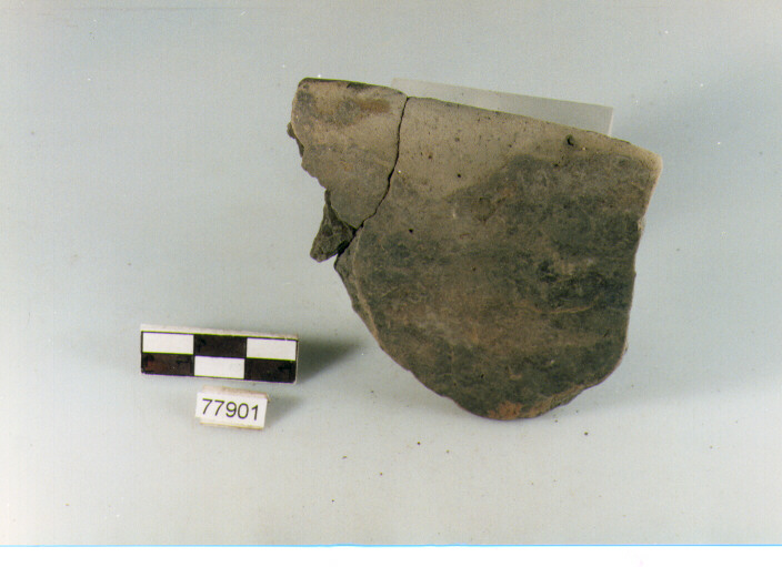 scodella troncoconica, tipo F14 Ripoli - neolitico finale-Ripoli III (IV MILLENNIO a.C)