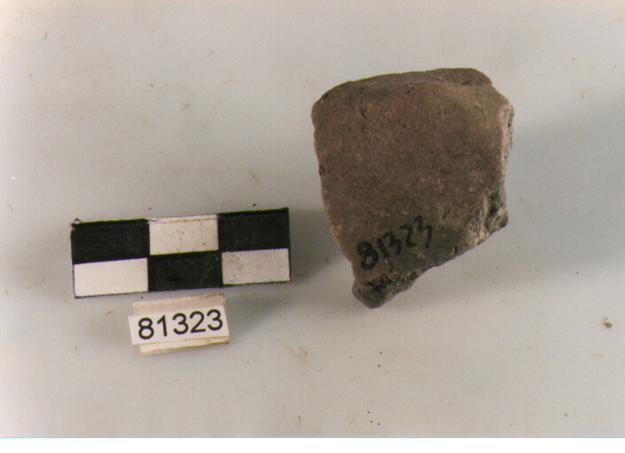 scodella/ parete (BF/ prima età del Ferro)