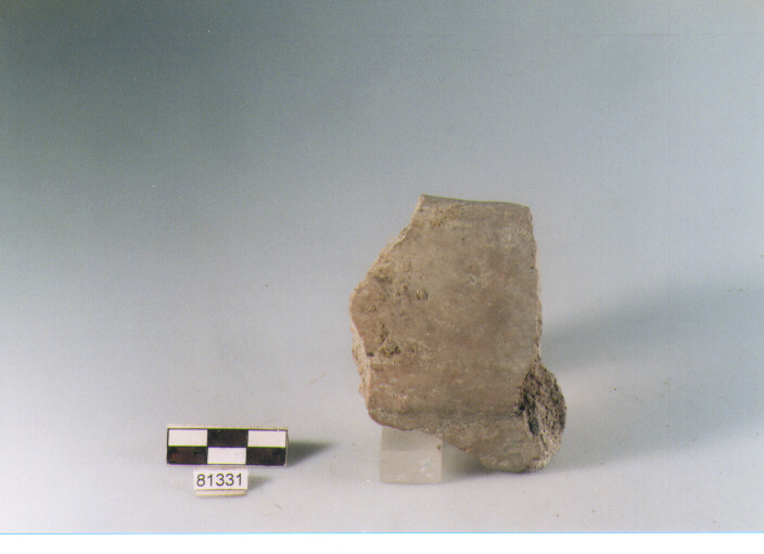 olla, olle tipo 1 varietà P, Archi (BF/ prima età del Ferro)