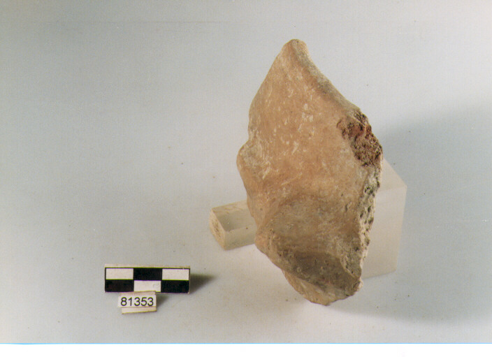 DOLIO CORDONATO, dolii a botte, tipo 1, Archi (BF/ prima età del Ferro)