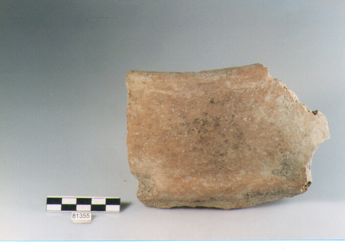 DOLIO CORDONATO, dolii a botte, tipo 1, Archi (BF/ prima età del Ferro)