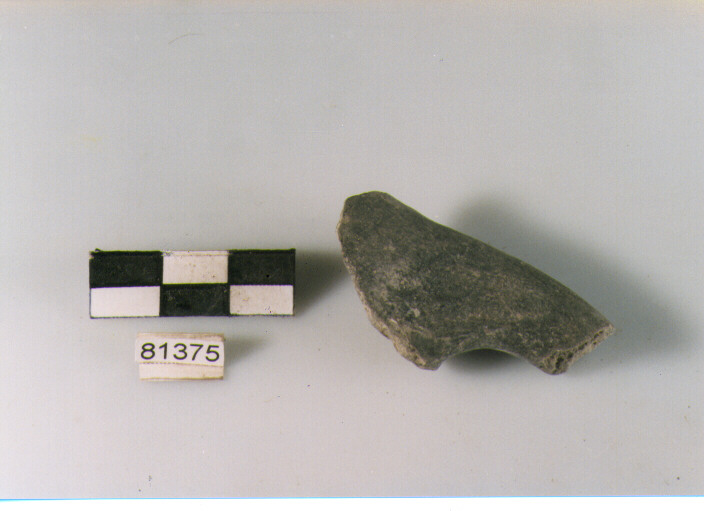 ansa a maniglia, anse a maniglia, tipo 1A, Archi (BF/ prima età del Ferro)