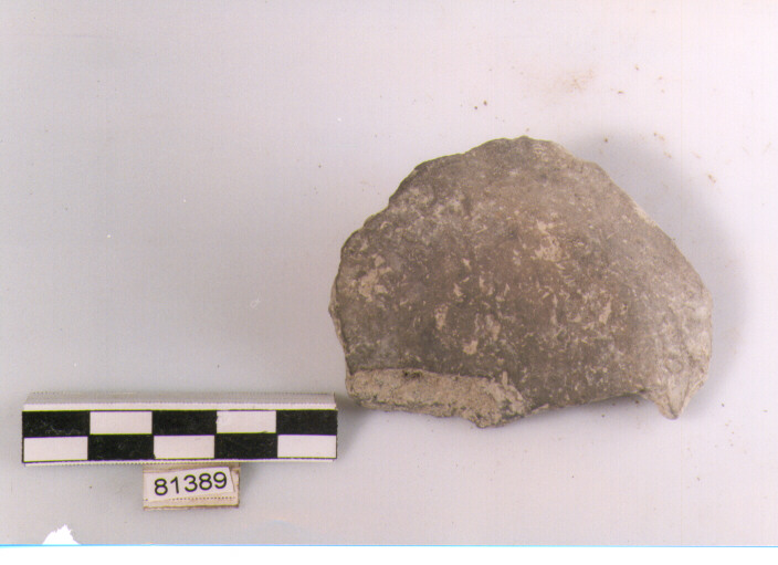 fondo, fondi, tipo 1, Archi (BF/ prima età del Ferro)