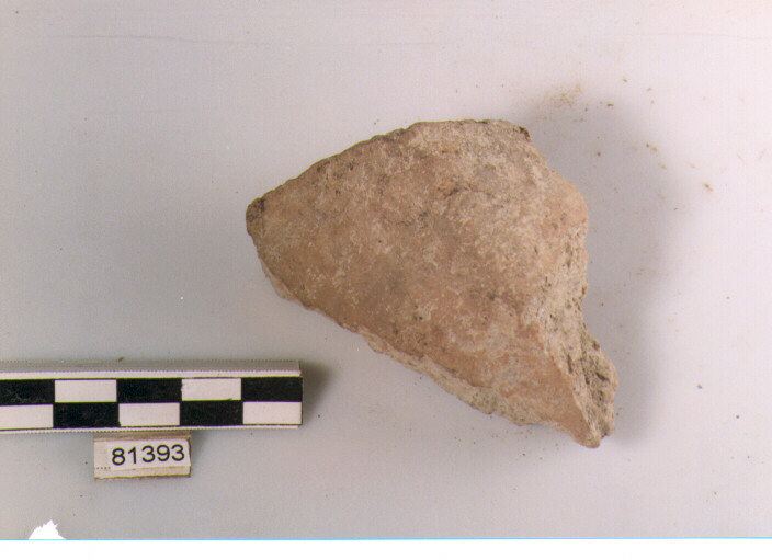 fondo, fondi tipo 1, Archi (BF/ prima età del Ferro)