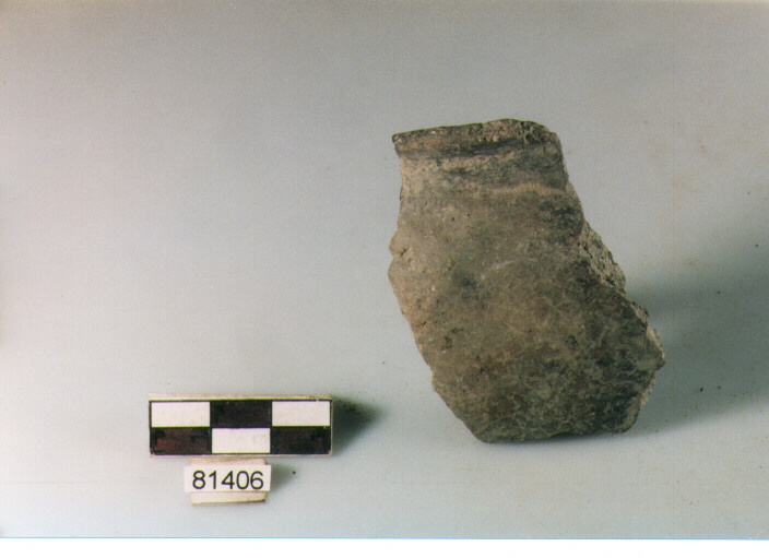 olla ovoide, olle ad orlo distinto, tipo3, Archi (BF/ prima età del Ferro)