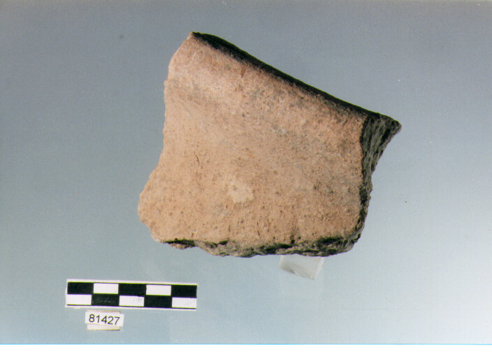 dolio/ orlo, dolii, tipo2A, Archi (BF/ prima età del Ferro)