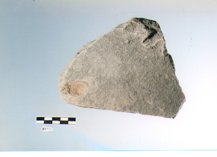 dolio cordonato/ parete, pareti di dolii, tipo 1B, Archi (bronzo finale/ ferro)