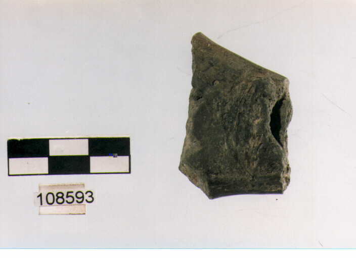 sopraelevazione nastriforme (età del bronzo medio)