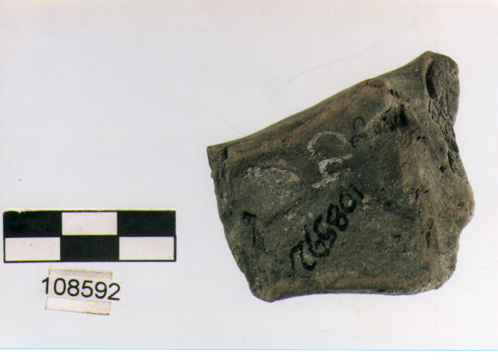 sopraelevazione nastriforme (età del bronzo medio)