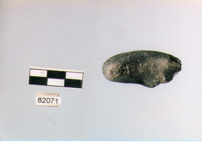 ansa ad apofisi laterale - subappenninico (età del bronzo recente)